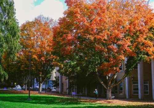 Fall colors on campus